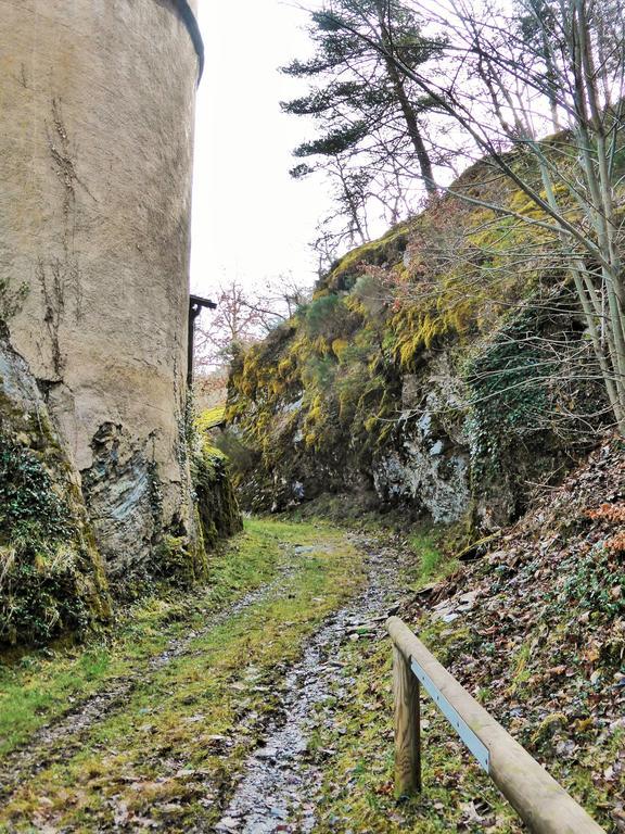 Domaine Aigoual Cevennes Hotel Meyrueis Kültér fotó